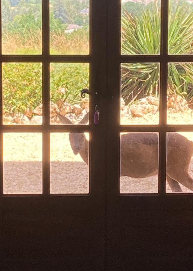 La Bastide Portoly B&B "Pruneaux" Penne-dʼAgenais エクステリア 写真