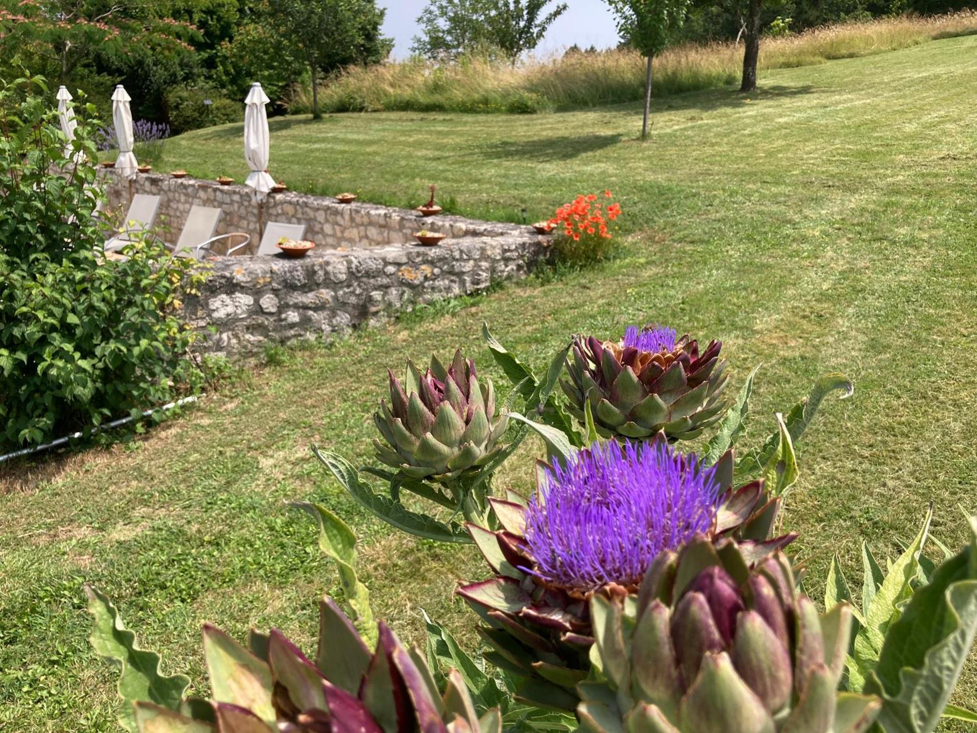 La Bastide Portoly B&B "Pruneaux" Penne-dʼAgenais エクステリア 写真